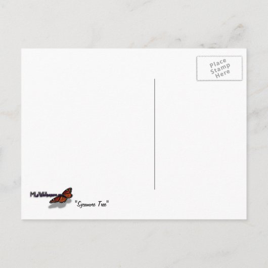 Carte Postale Sycamore Tree Nature verte (Dos)