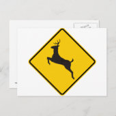 CARTE POSTALE SYMBOLE DE LA ROUTE DES CERFS (Devant / Derrière)