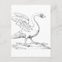 Symbole de l'amour et de la fidélité Swan Fine Art