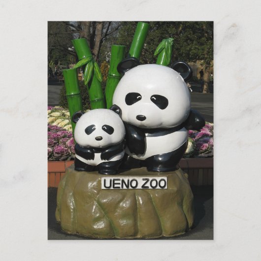 Carte Postale SYMBOLE Panda DU Zoo D'Ueno (Devant)