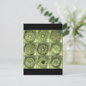 carte postale symboles alchimie (Debout devant)