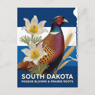 Carte Postale Symboles de la faisane du Dakota du Sud et de l'an