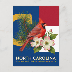 Carte Postale Symboles de l'État de Caroline du Nord Dogwood et