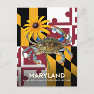 Carte Postale Symboles de Maryland Black Eyed Susan et Crabe
