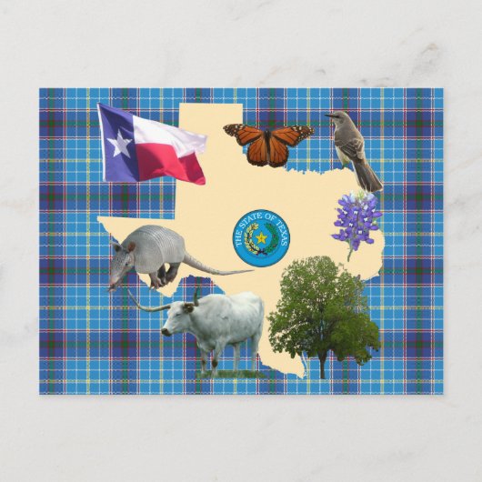 Carte Postale Symboles d'état du Texas (Devant)