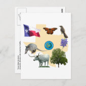Carte Postale Symboles d'état du Texas (Devant / Derrière)