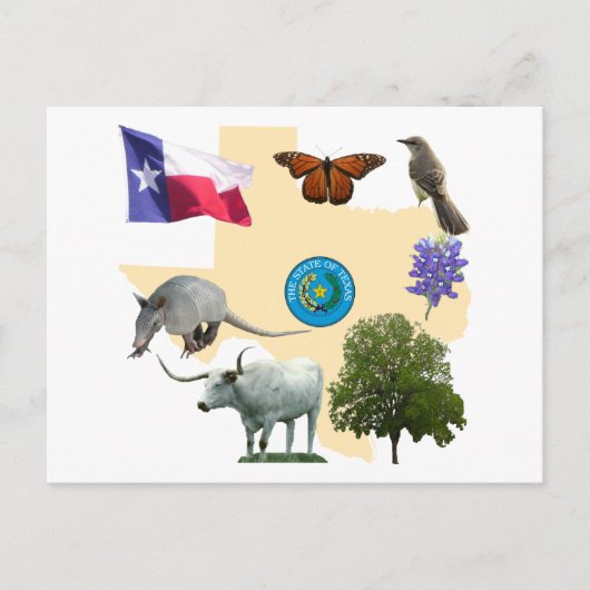 Carte Postale Symboles d'état du Texas (Devant)