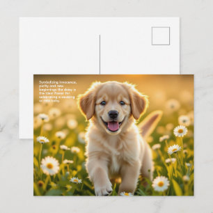 Carte Postale Symbolisme de la marguerite