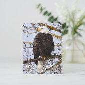 Carte Postale Symbolisme de l'aigle (Debout devant)