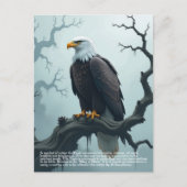Carte Postale Symbolisme de l'aigle (Devant)