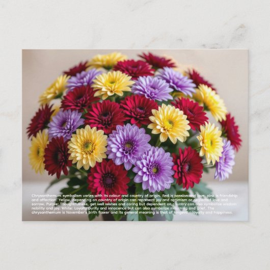 Carte Postale Symbolisme du Chrysanthème (Devant)