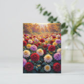 Carte Postale Symbolisme du Chrysanthème (Debout devant)