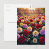 Carte Postale Symbolisme du Chrysanthème (Devant / Derrière)