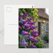 Carte Postale Symbolisme du lilas (Devant / Derrière)