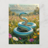 Carte Postale Symbolisme serpent (Devant)