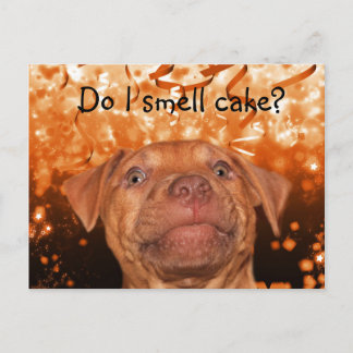 Carte Postale Sympa drôle chien anniversaire