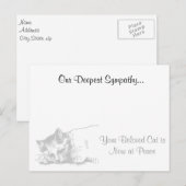 Carte Postale Sympathie des vétérinaires chats (Devant / Derrière)