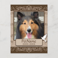 Sympathie personnalisée pour animal de compagnie B