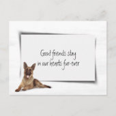 Carte Postale Sympathie pour la perte d'un Berger Allemand (Devant)