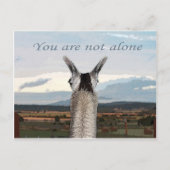 Carte Postale Sympathie : Vous n'êtes pas seule Llama (Devant)