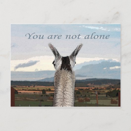 Carte Postale Sympathie : Vous n'êtes pas seule Llama (Devant)