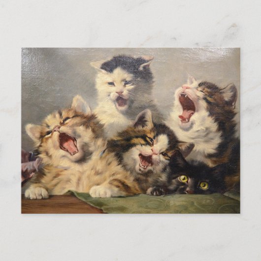 Carte Postale Symphonie de chatons par Julius Adam II (Devant)