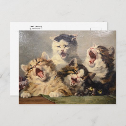 Carte Postale Symphonie de Kitten par Julius Adam II (Devant / Derrière)