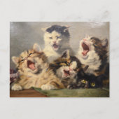 Carte Postale Symphonie de Kitten par Julius Adam II (Devant)