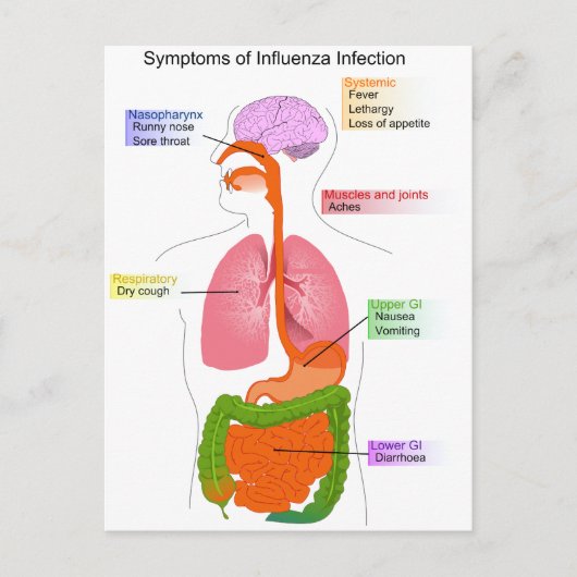Carte Postale Symptômes principaux d'un diagramme d'infection gr (Devant)