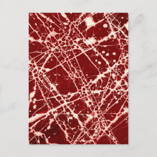 CARTE POSTALE SYNAPSES ~