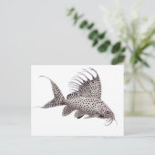 Carte postale Synodontis eupterus Catfish (Debout devant)