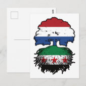 Carte Postale Syrian Dutch Roots and Crown Tree (Devant / Derrière)