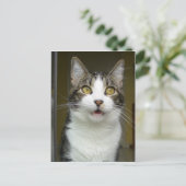 Carte Postale Syrus Shocked 0001 (Debout devant)