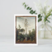 Carte Postale T33047 Un jardin botanique (Debout devant)