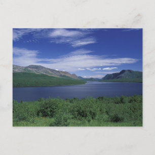 Carte Postale T.A., Canada, Terre-Neuve, Truite de Grose Morne