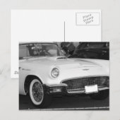 Carte Postale T-bird blanc classique (Devant / Derrière)