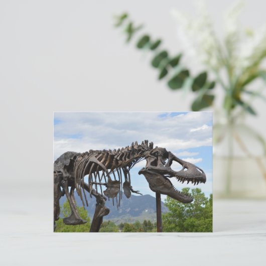 Carte Postale T-Rex (Debout devant)