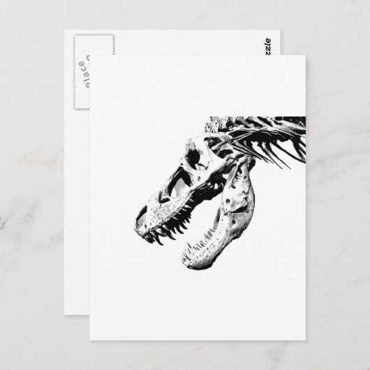 Carte Postale t-rex (Devant / Derrière)