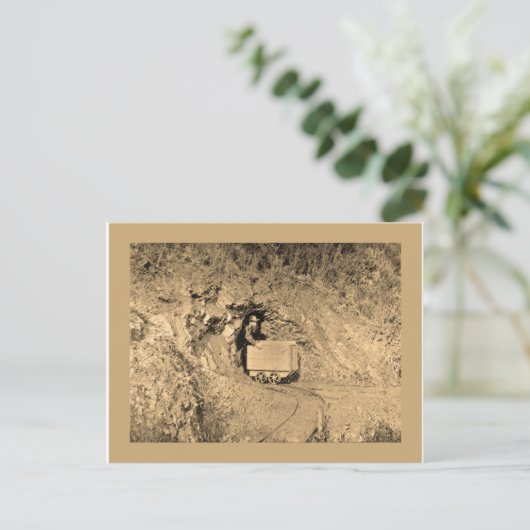 Carte Postale T-shirts d'art à panoramique or (Debout devant)