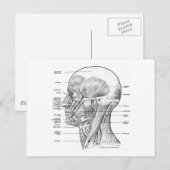 CARTE POSTALE T-SHIRTS ET CADEAUX D'ANATOMIE EN TÊTE ET COU (Devant / Derrière)