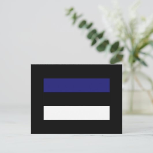 Carte Postale T-shirts et cadeaux du Drapeau estonien (Debout devant)