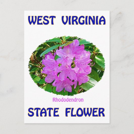 Carte Postale T-shirts et cadeaux Flower State de Virginie-Occid (Devant)