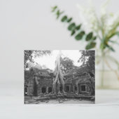 Carte Postale Ta Prohm (Debout devant)