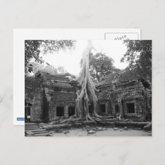 Carte Postale Ta Prohm (Devant / Derrière)