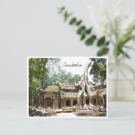 Carte Postale ta prohm cambodia (Debout devant)