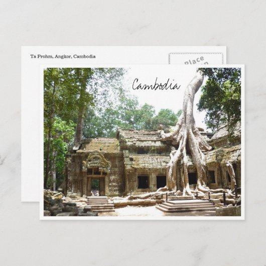 Carte Postale ta prohm cambodia (Devant / Derrière)