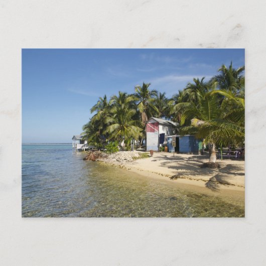 Carte Postale Tabac Caye, Belize (Devant)