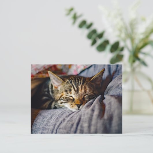 Carte Postale Tabat Couché (Debout devant)