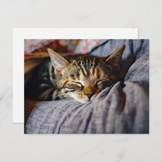 Carte Postale Tabat Couché (Devant / Derrière)