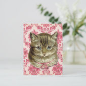 Carte Postale Tabby (Debout devant)